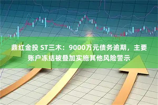 鼎红金投 ST三木：9000万元债务逾期，主要账户冻结被叠加实施其他风险警示